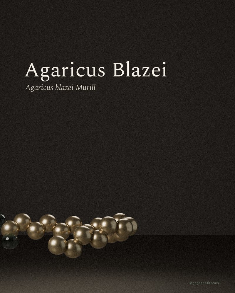 Agaricus Blazei — Agaricus blazei Murill, rendered from its real molecular structure