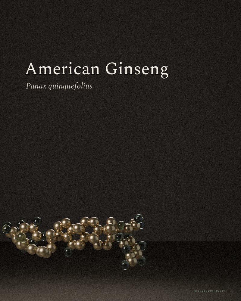 American Ginseng — Panax quinquefolius, rendered from its real molecular structure