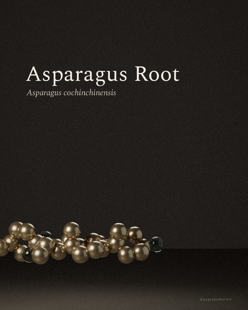 Asparagus Root — Asparagus cochinchinensis, rendered from its real molecular structure