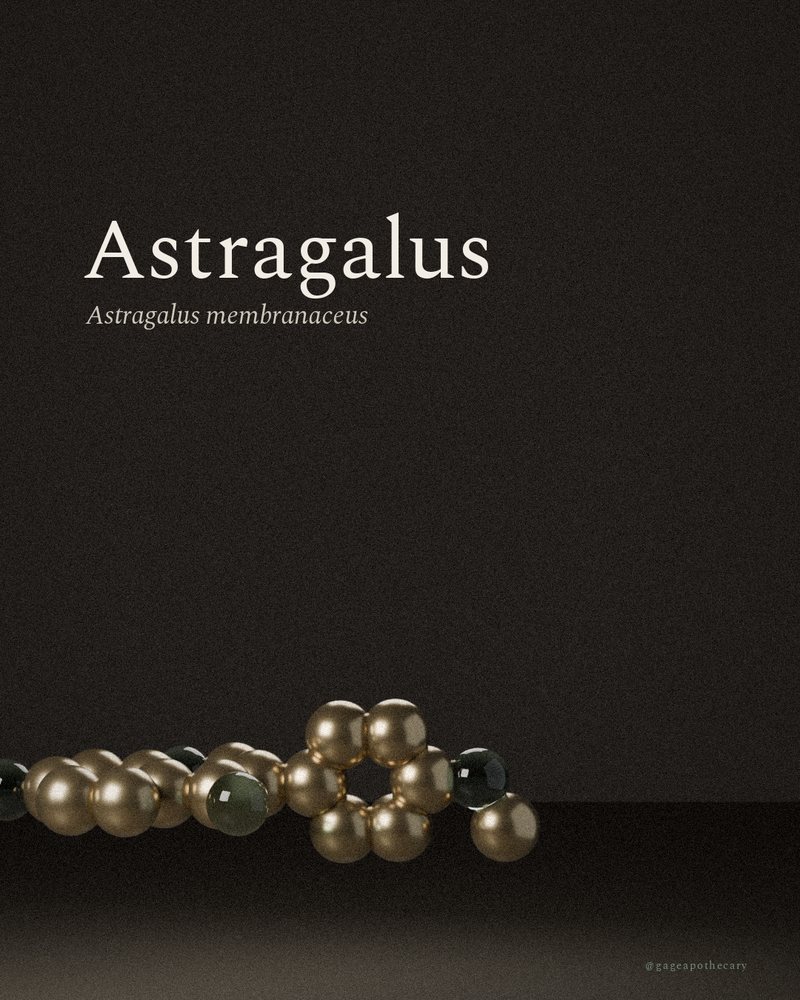 Astragalus — Astragalus membranaceus, rendered from its real molecular structure