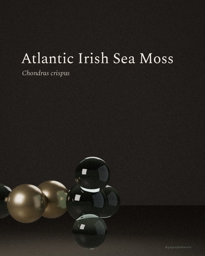 Atlantic Irish Sea Moss — Chondrus crispus, rendered from its real molecular structure