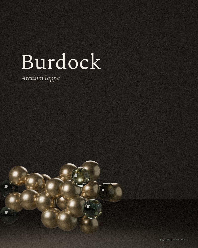Burdock — Arctium lappa, rendered from its real molecular structure