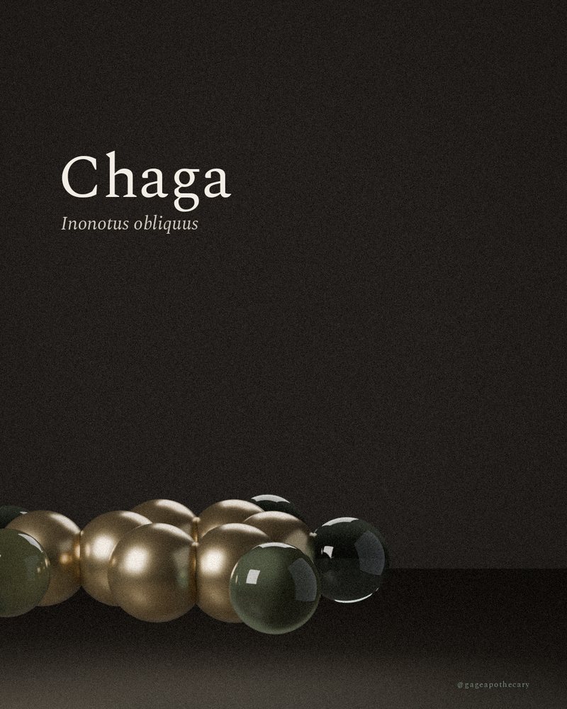 Chaga — Inonotus obliquus, rendered from its real molecular structure