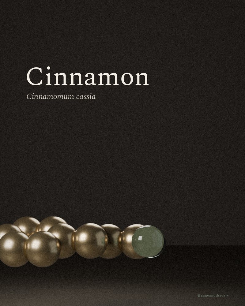 Cinnamon — Cinnamomum cassia, rendered from its real molecular structure