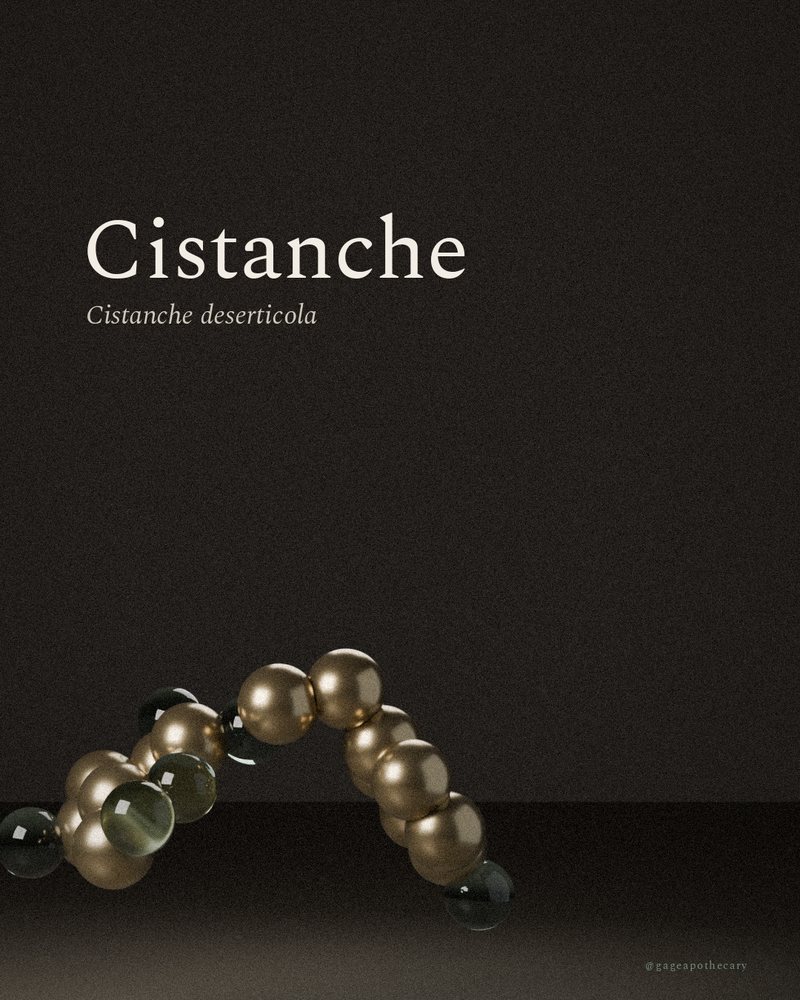 Cistanche — Cistanche deserticola, rendered from its real molecular structure