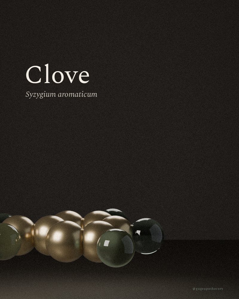 Clove — Syzygium aromaticum, rendered from its real molecular structure