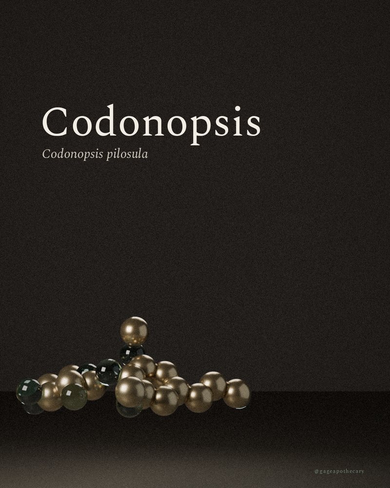 Codonopsis — Codonopsis pilosula, rendered from its real molecular structure