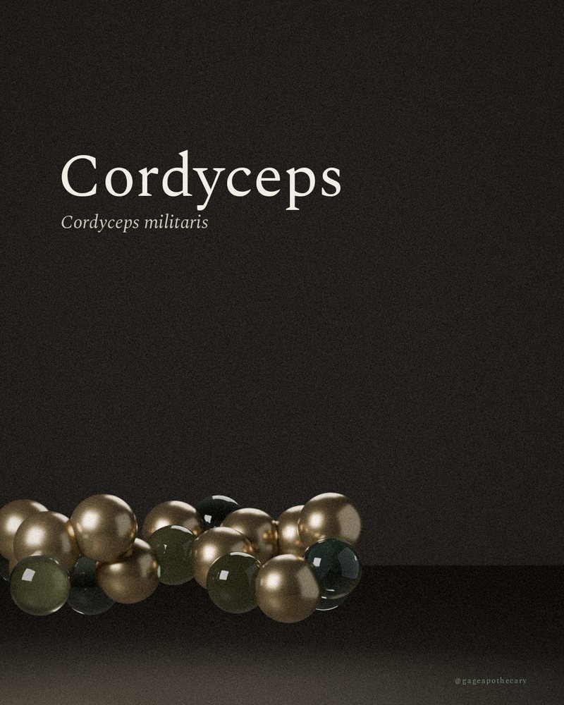 Cordyceps — Cordyceps militaris, rendered from its real molecular structure