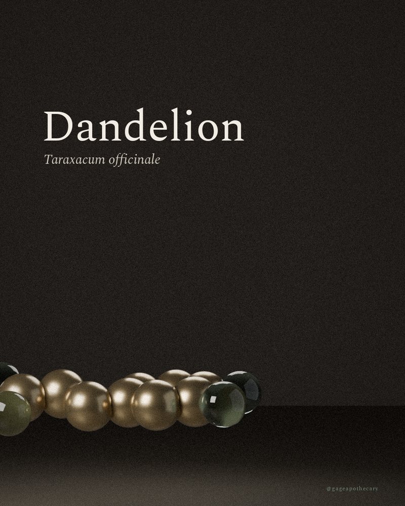 Dandelion — Taraxacum officinale, rendered from its real molecular structure