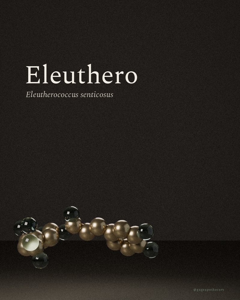 Eleuthero — Eleutherococcus senticosus, rendered from its real molecular structure