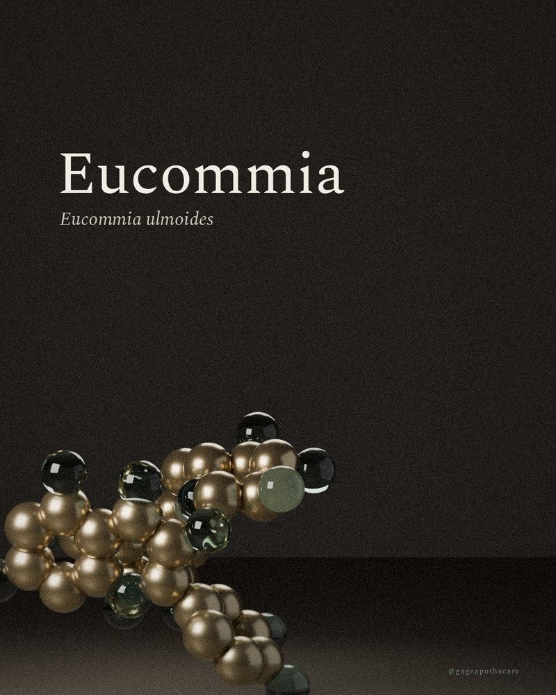 Eucommia — Eucommia ulmoides, rendered from its real molecular structure