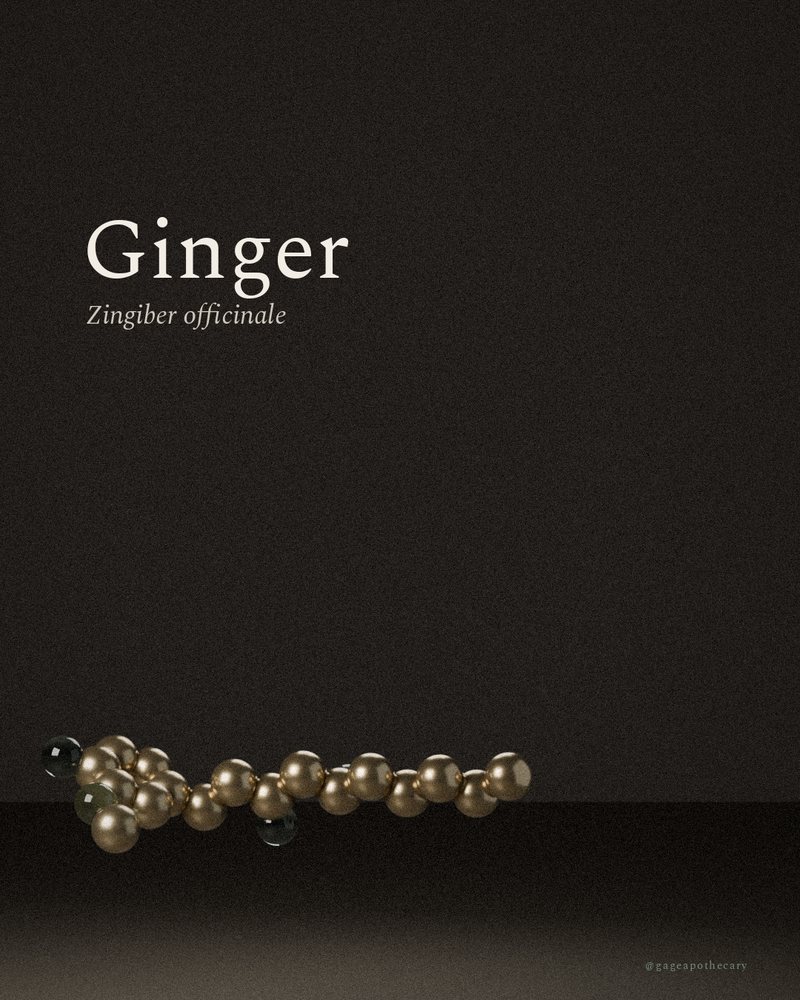 Ginger — Zingiber officinale, rendered from its real molecular structure