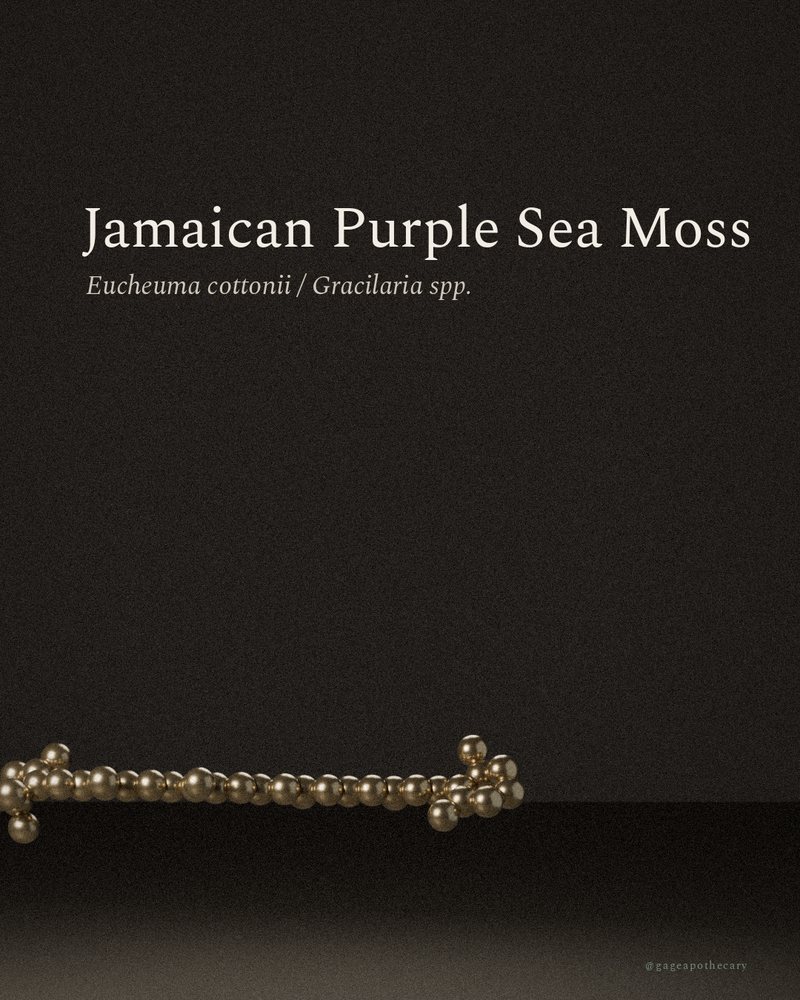 Jamaican Purple Sea Moss — Eucheuma cottonii / Gracilaria spp., rendered from its real molecular structure