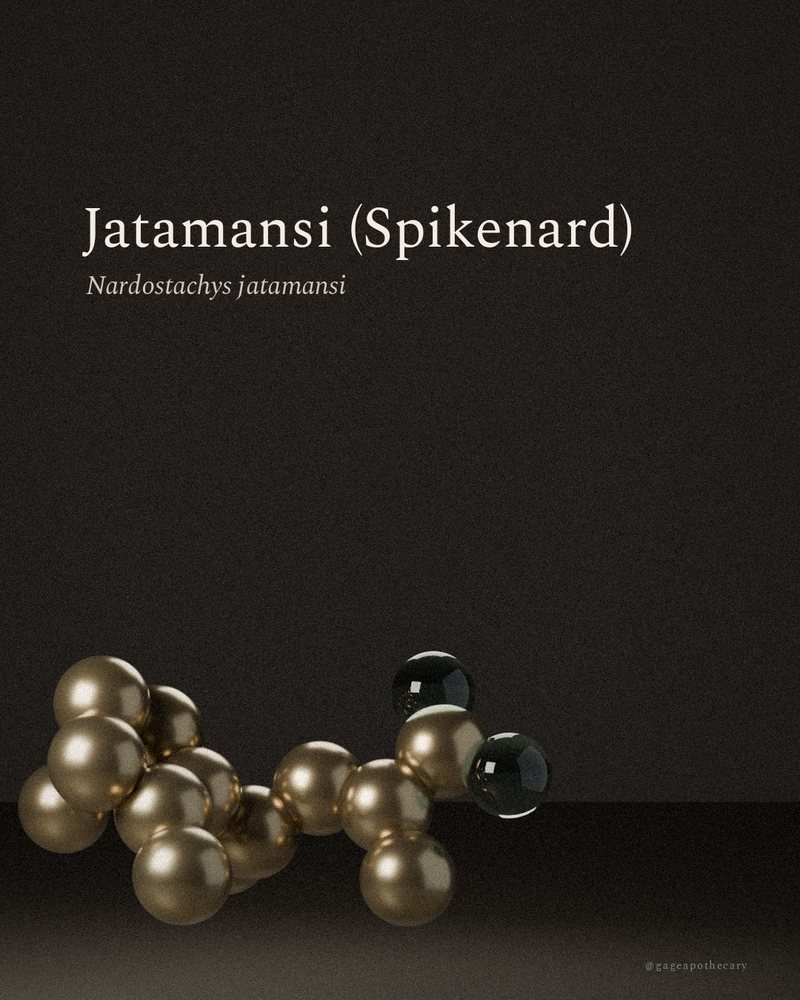 Jatamansi (Spikenard) — Nardostachys jatamansi, rendered from its real molecular structure
