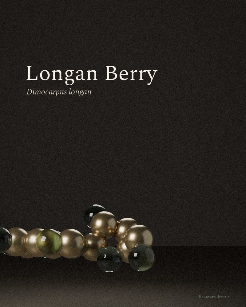 Longan Berry — Dimocarpus longan, rendered from its real molecular structure
