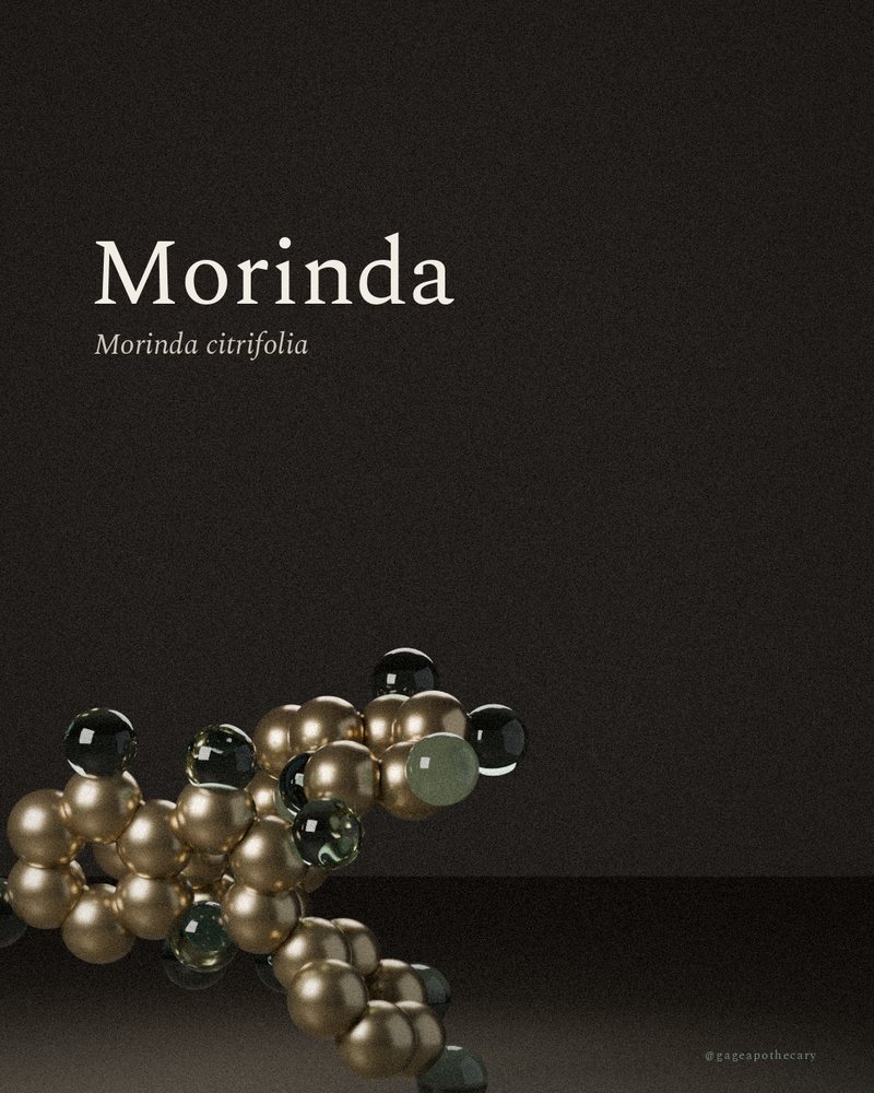 Morinda — Morinda citrifolia, rendered from its real molecular structure