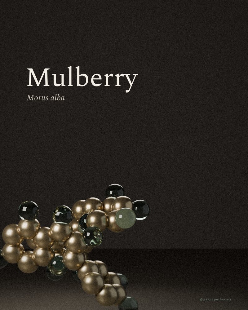 Mulberry — Morus alba, rendered from its real molecular structure