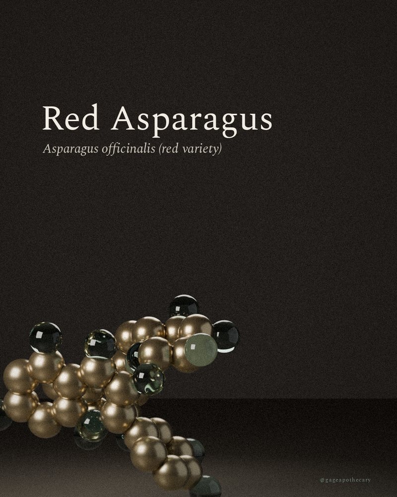 Red Asparagus — Asparagus officinalis (red variety), rendered from its real molecular structure