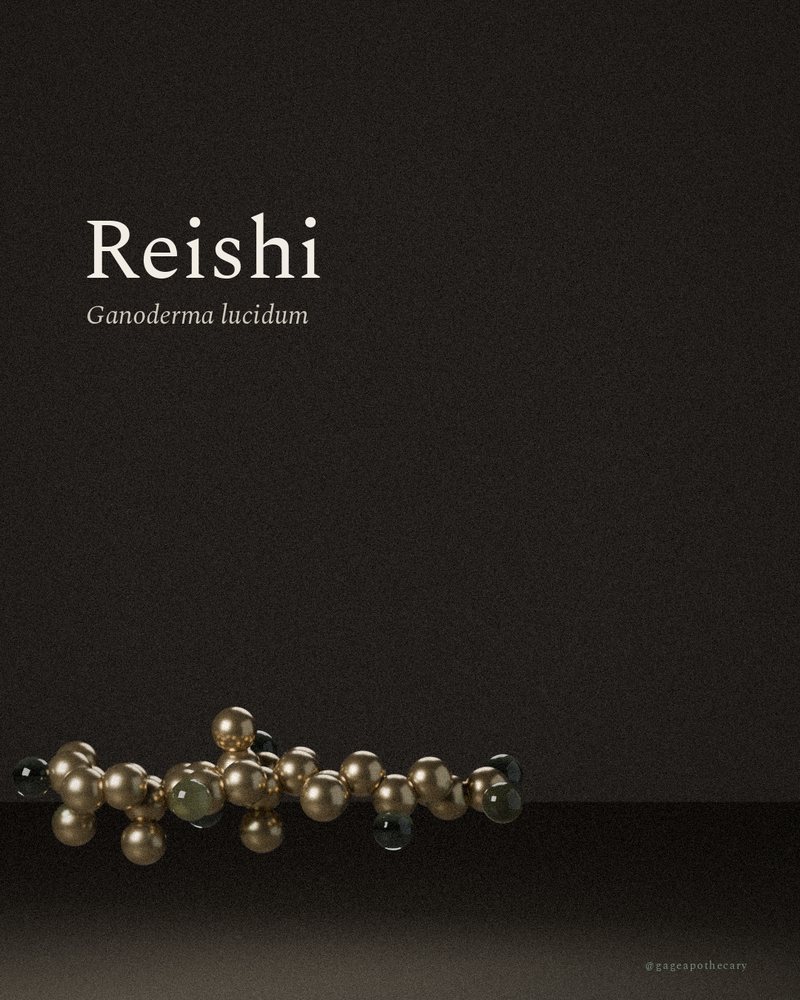 Reishi — Ganoderma lucidum, rendered from its real molecular structure