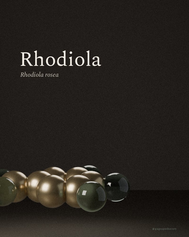 Rhodiola — Rhodiola rosea, rendered from its real molecular structure