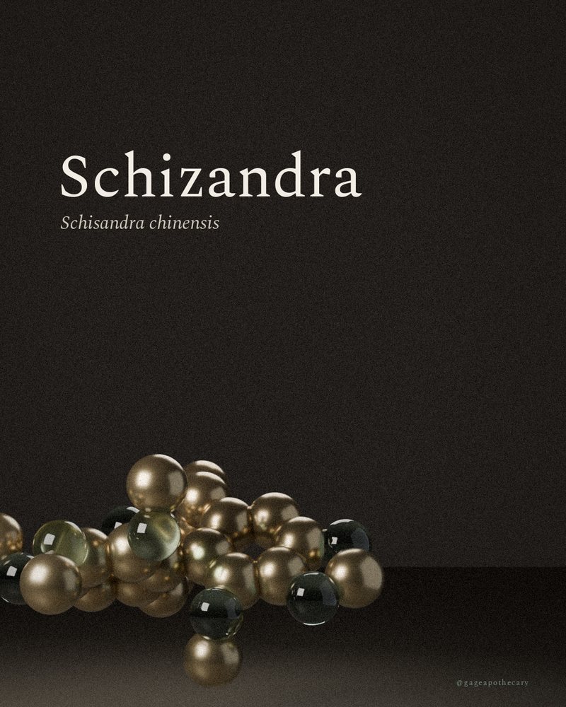 Schizandra — Schisandra chinensis, rendered from its real molecular structure