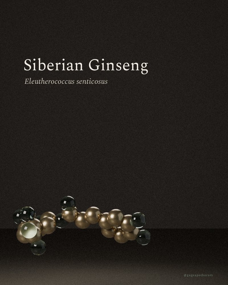 Siberian Ginseng — Eleutherococcus senticosus, rendered from its real molecular structure