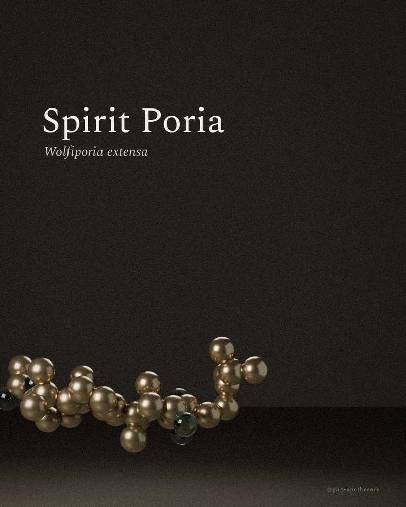 Spirit Poria — Wolfiporia extensa, rendered from its real molecular structure