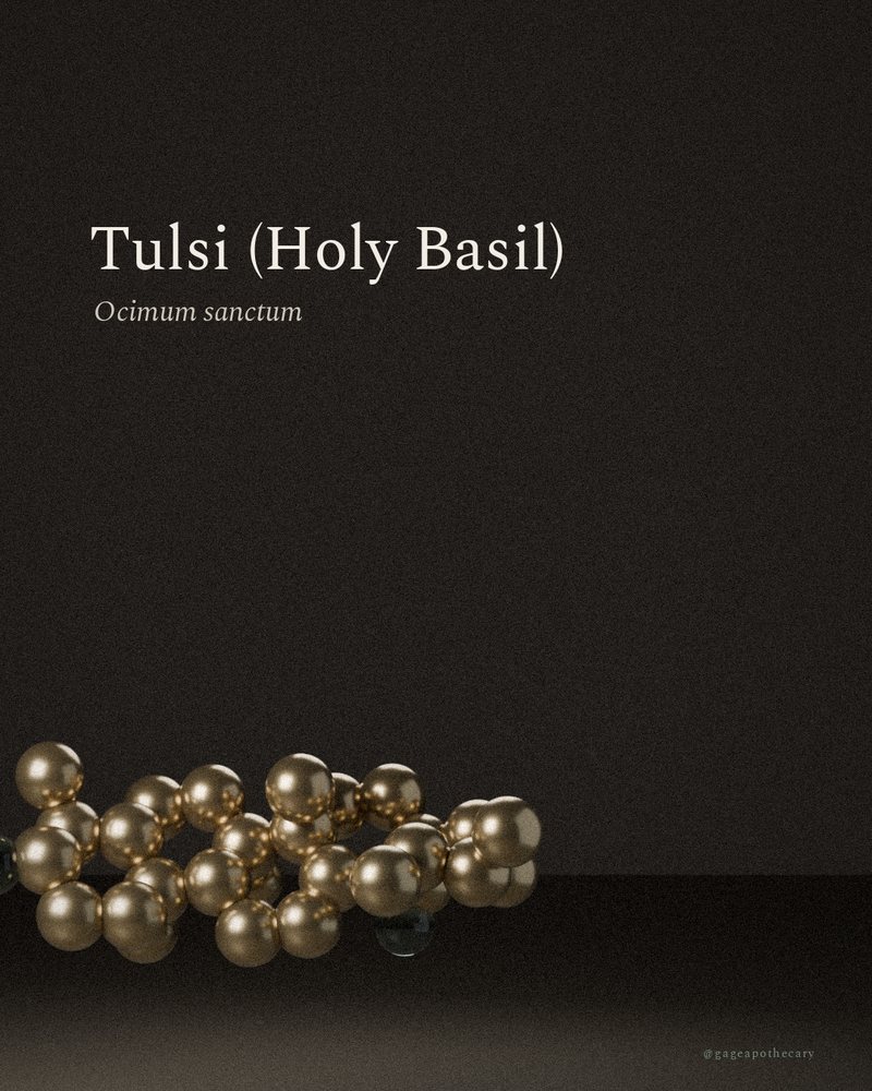 Tulsi (Holy Basil) — Ocimum sanctum, rendered from its real molecular structure
