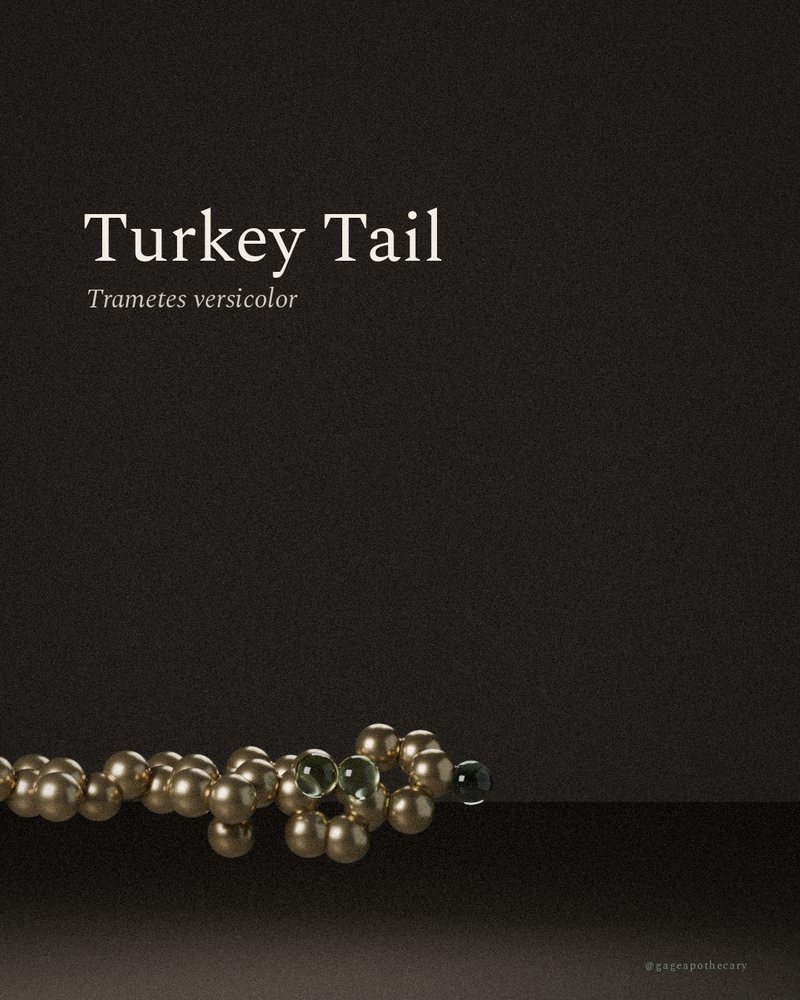 Turkey Tail — Trametes versicolor, rendered from its real molecular structure