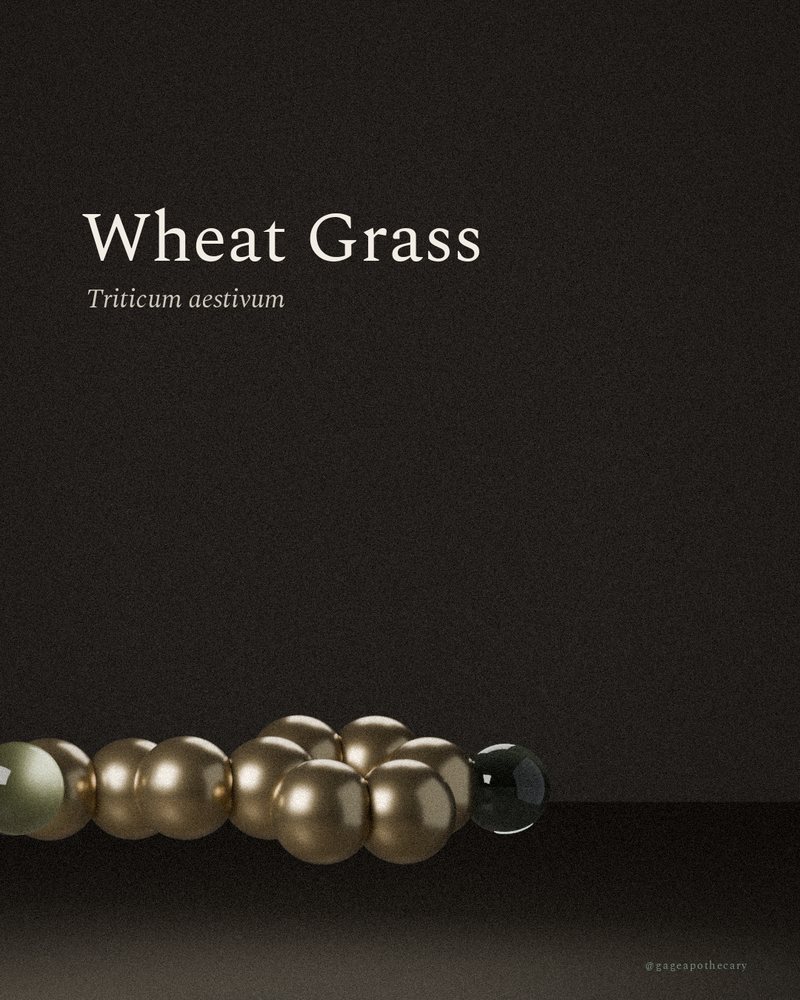 Wheat Grass — Triticum aestivum, rendered from its real molecular structure