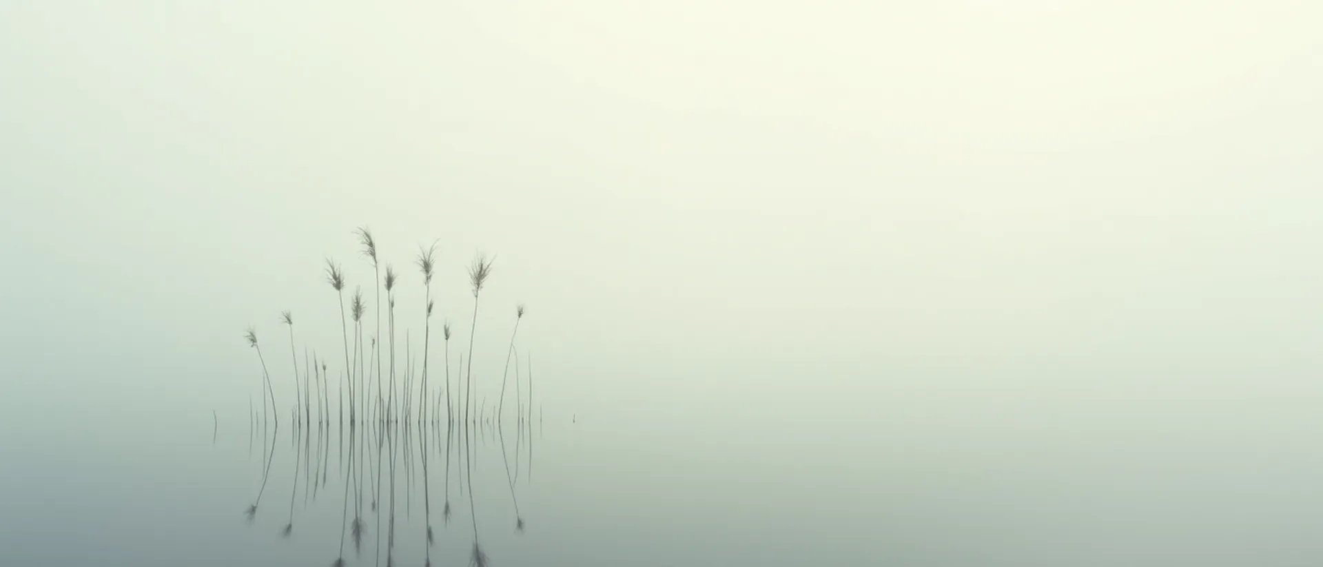 Fascia — atmosphere