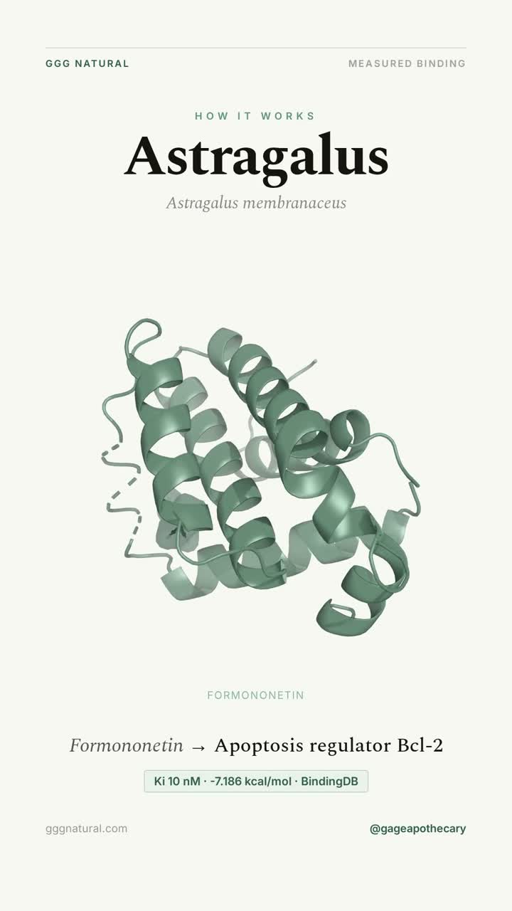 Astragalus · Formononetin