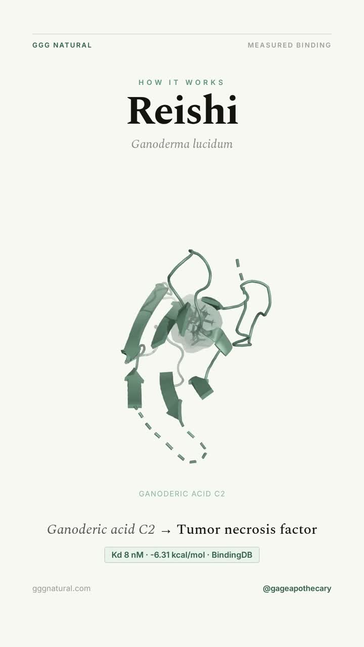 Reishi · Ganoderic acid C2