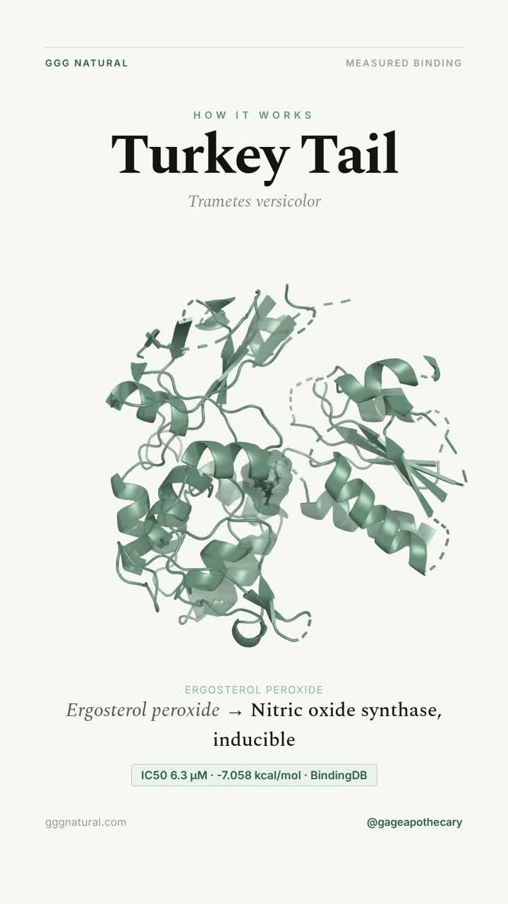 Turkey Tail · Ergosterol peroxide