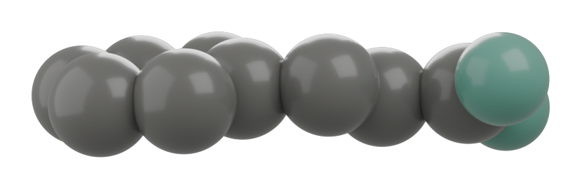Cinnamon molecule